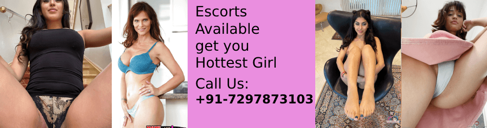 udaipur escort services